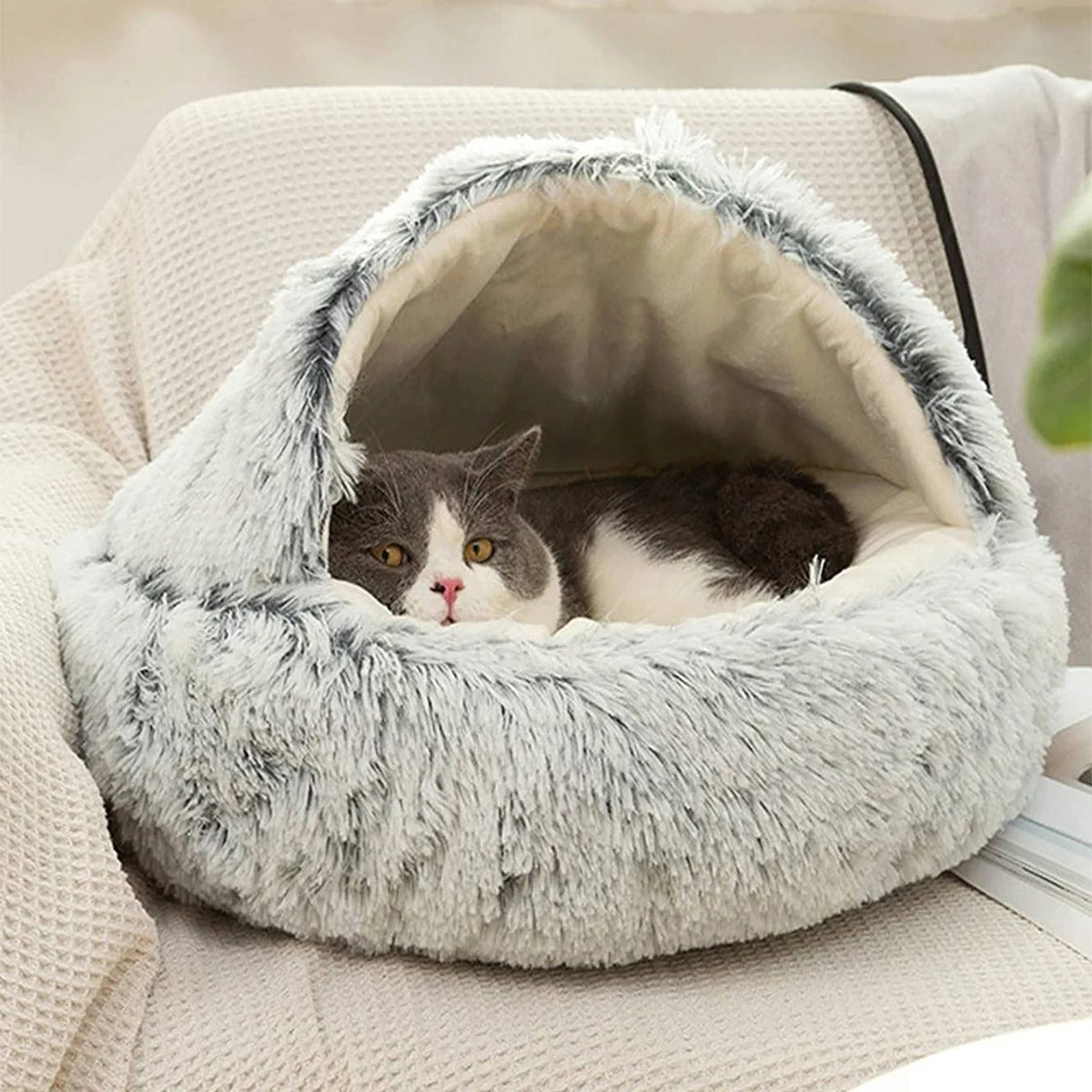 Cozy Cocoon - The Ultimate Comfort for Your Furry Friend