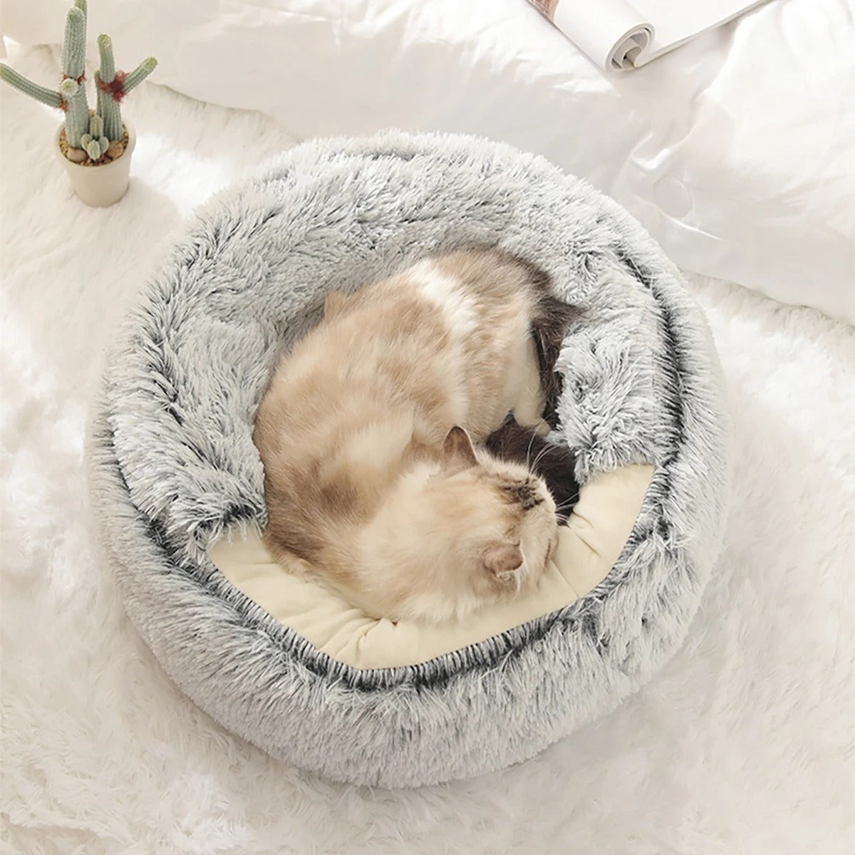 Cozy Cocoon - The Ultimate Comfort for Your Furry Friend